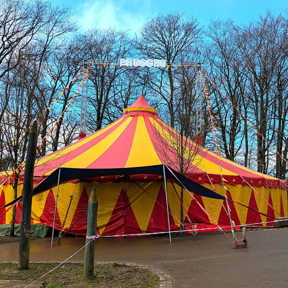 Waldschule in Wermelskirchen: Manege statt Mathe