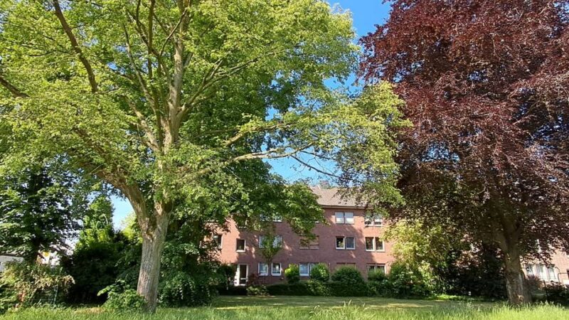 Naturoase in Korschenbroich: Spielplatz wird zur klimafreundlichen Parkanlage