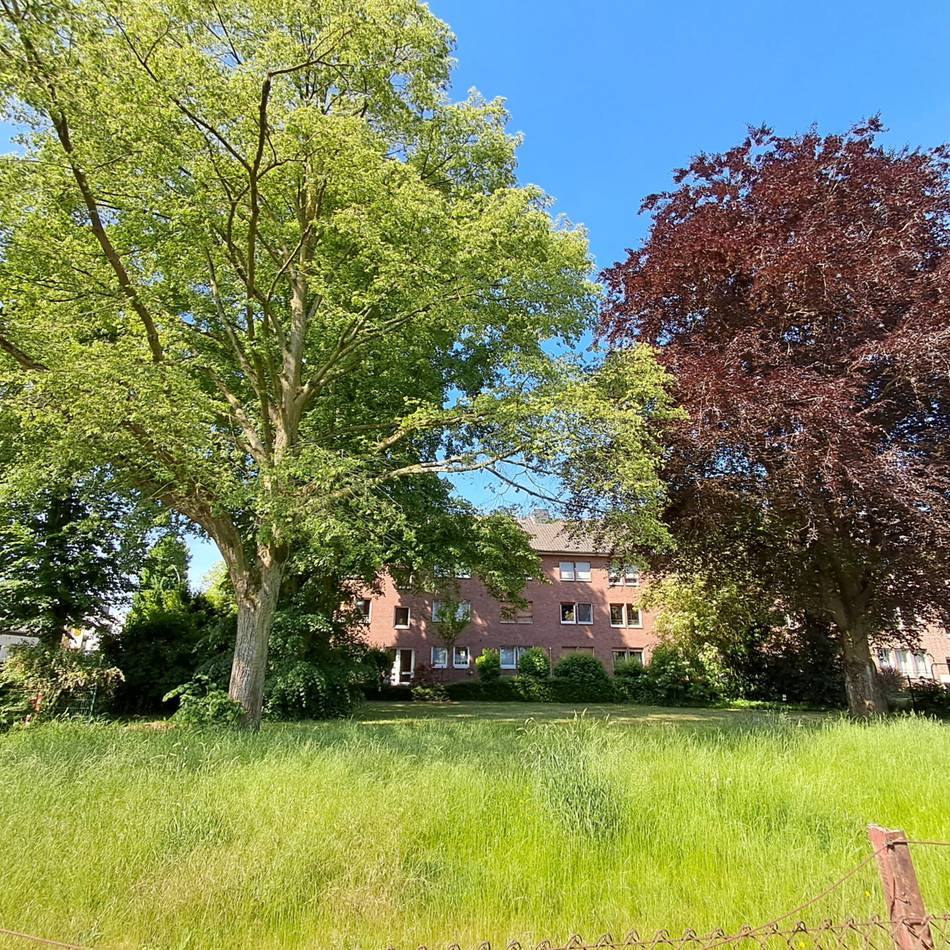 Naturoase in Korschenbroich: Spielplatz wird zur klimafreundlichen Parkanlage