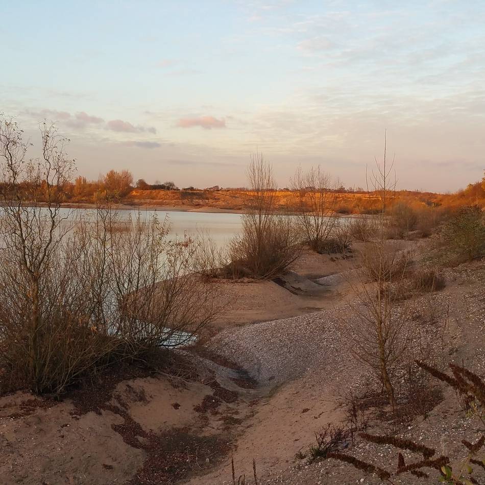 In Hitdorf und Quettingen: Spaziergänge durch winterliche Natur in Leverkusen