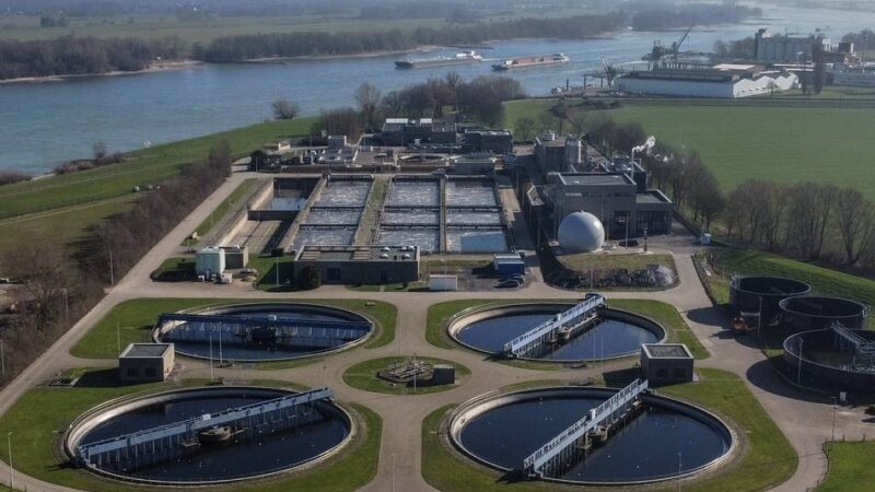 Erleichterung in Kleve: Windrad auf Salmorth darf gebaut werden – Nabu und USK einigen sich