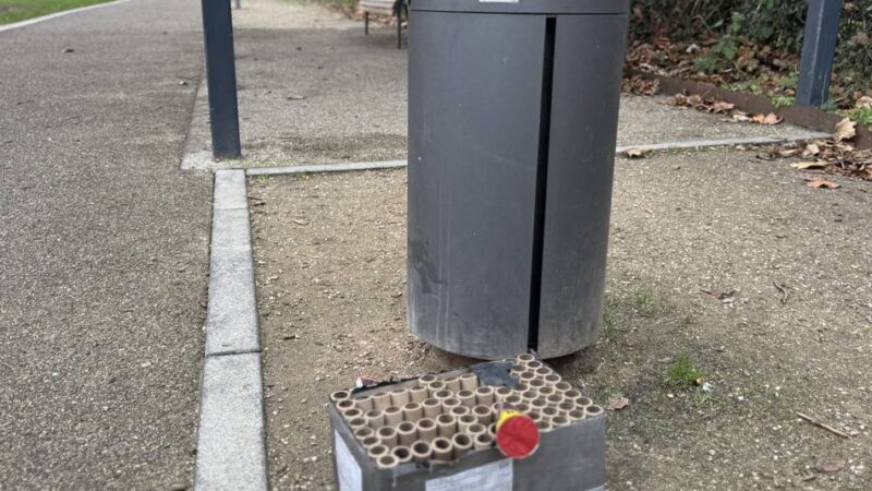 Abfallbeseitigung im öffentlichen Raum: Bürgerin schlägt Müll-Paten für Xanten vor