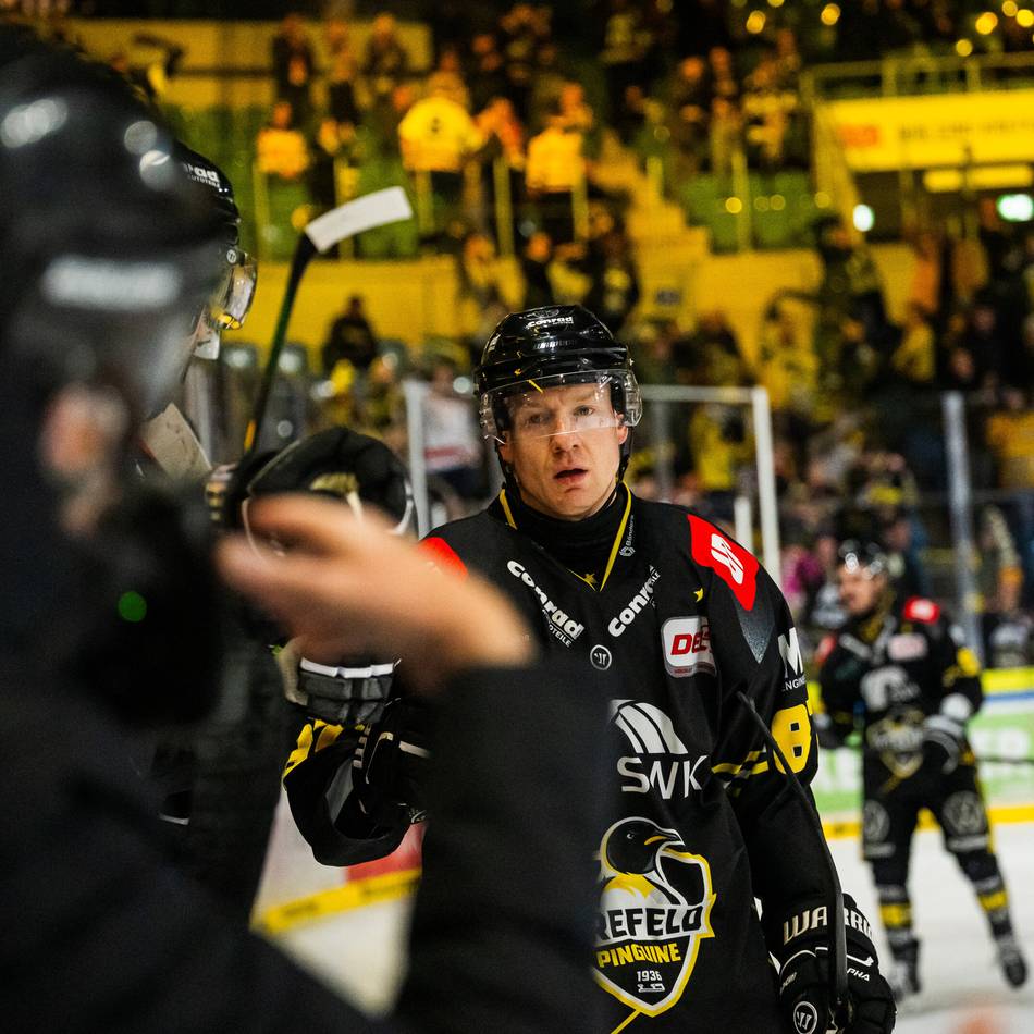 Wichtiger Kader-Baustein: Einen Tag vor dem Derby – Krefeld Pinguine verlängern mit Philip Gogulla