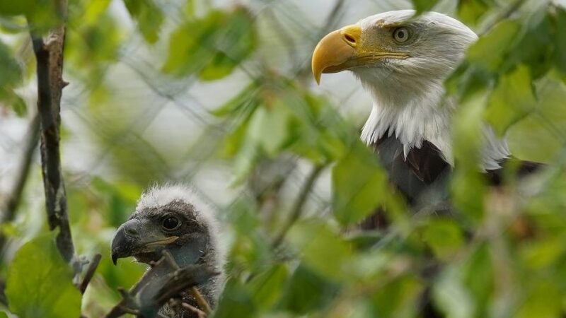 Jahresbilanz des Tiergartens in Kleve: 302 Tiere, neue Arten und große Erfolge im Artenschutz