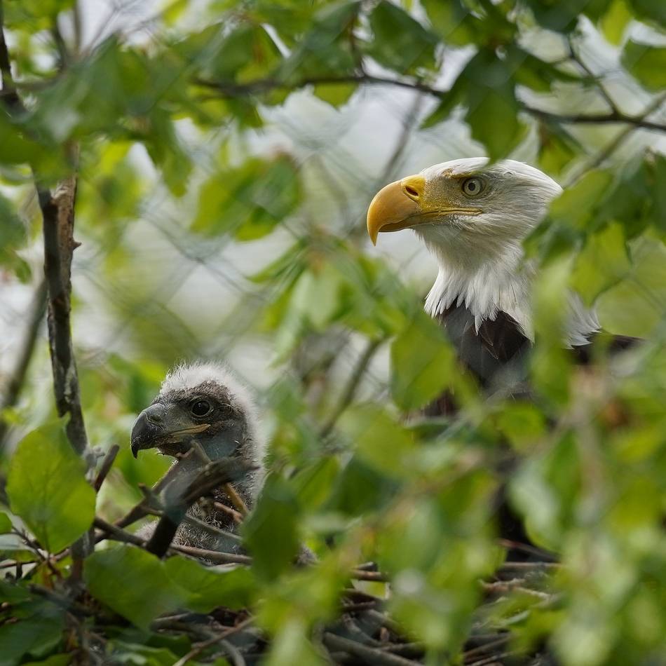Jahresbilanz des Tiergartens in Kleve: 302 Tiere, neue Arten und große Erfolge im Artenschutz