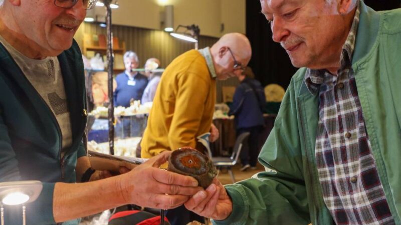 Börse in Erkelenz: Sammler stellen Mineralien und Fossilien aus