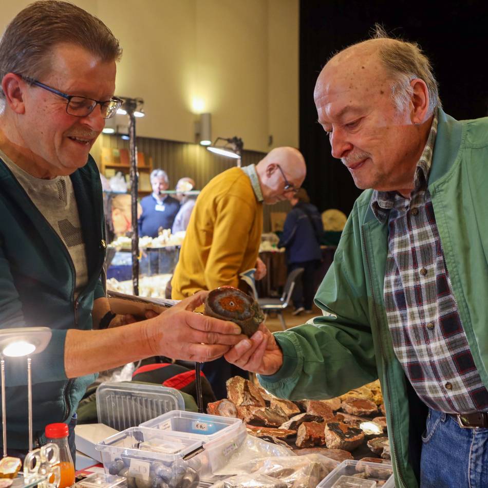 Börse in Erkelenz: Sammler stellen Mineralien und Fossilien aus