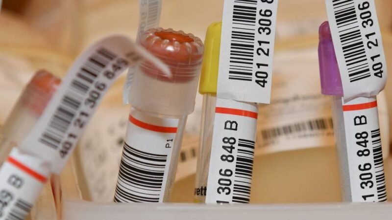 Deutsches Rotes Kreuz an der Wupper in Radevormwald: In der Fastenzeit nicht auf das Blutspenden verzichten