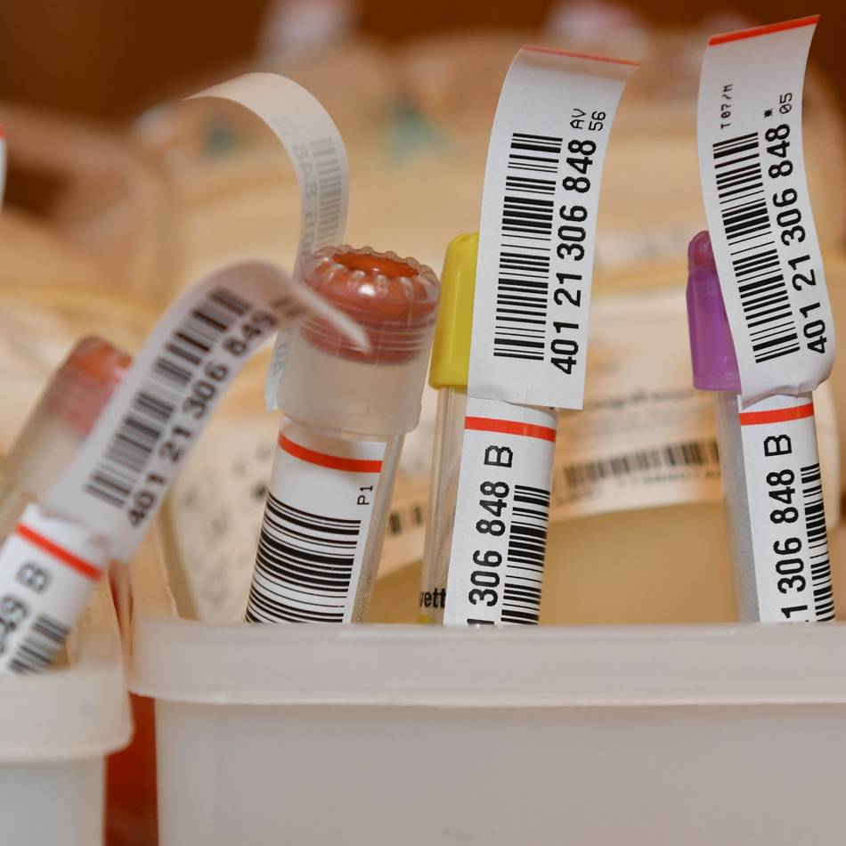 Deutsches Rotes Kreuz an der Wupper in Radevormwald: In der Fastenzeit nicht auf das Blutspenden verzichten