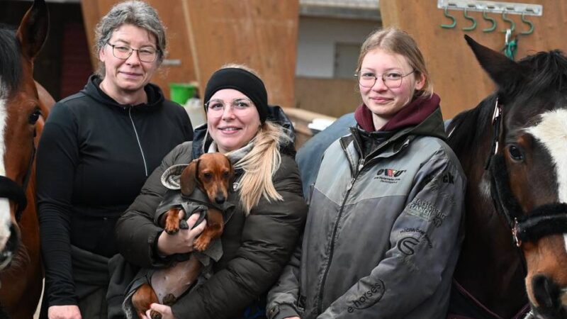 Reitanlage in Radevormwald: Aus dem Gestüt Moorbach wird „Grit Stables“