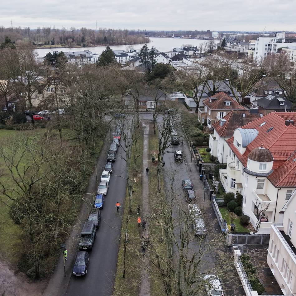 Düsseldorfer Stadtbaumkonzept: Acht neue Zukunftsbäume für die Meliesallee in Benrath