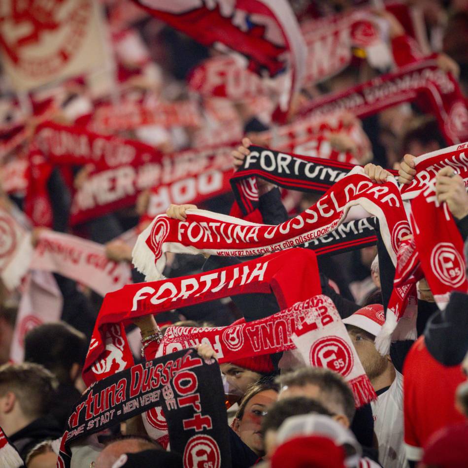 Zu wenig Qualität im Kader: Transferzeugnis, Taktikwunsch, Saisonprognose – die Meinung der Fortuna-Fans