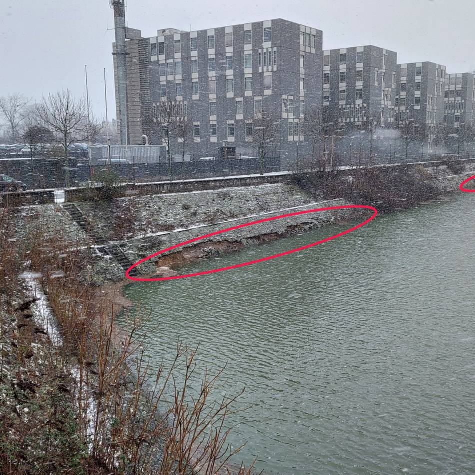 Wirtschaftsbetriebe starten Aufschüttungen: Warum die Uferböschung am Innenhafen abrutscht