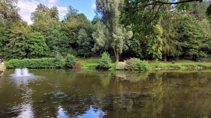 Stadt Hückeswagen plant Attraktivierung: Tonnenweise Schlamm „erstickt“ den Stadtpark-Teich