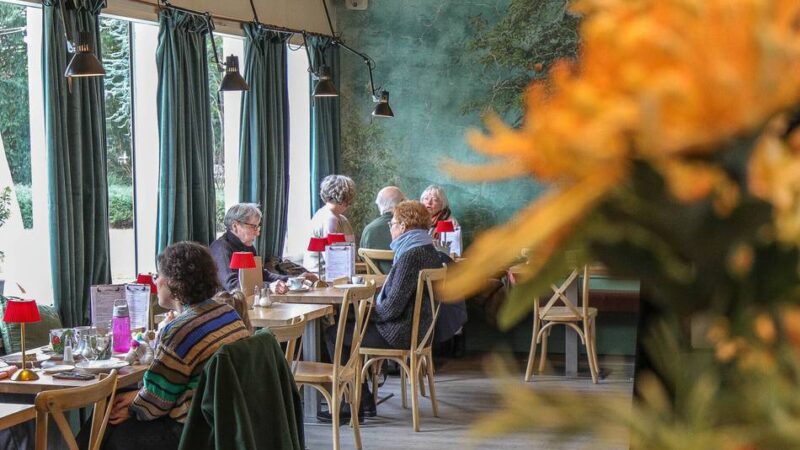 Ausgehen in Düsseldorf: Nordpark Café – Alles, was es für einen Tag im Park braucht