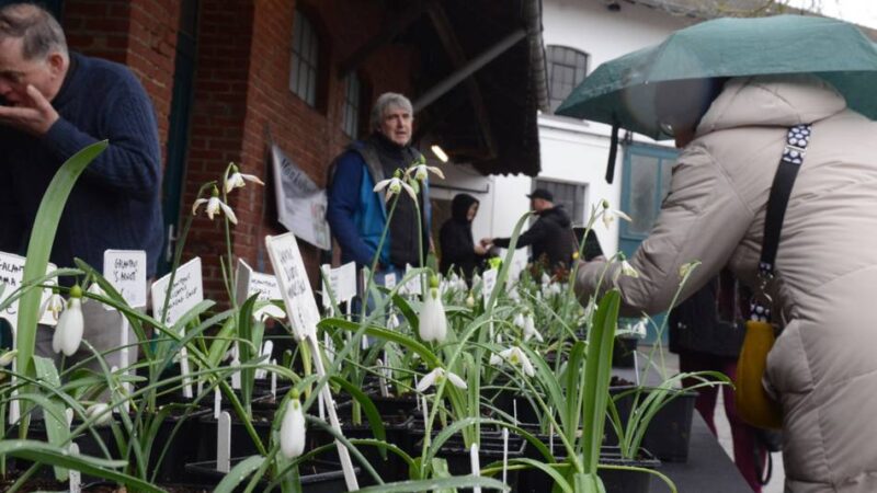 Trends und Vorträge am Kloster: Knechtsteden wieder Treffpunkt der Schneeglöckchen-Szene