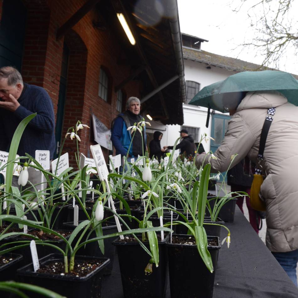 Trends und Vorträge am Kloster: Knechtsteden wieder Treffpunkt der Schneeglöckchen-Szene