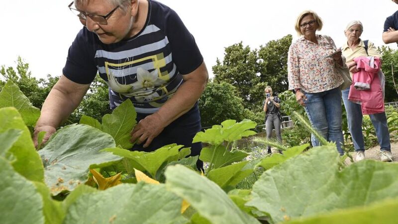 Auszeichnung für Ehrenamtler in Mönchengladbach: Jetzt für den Heimat-Preis bewerben