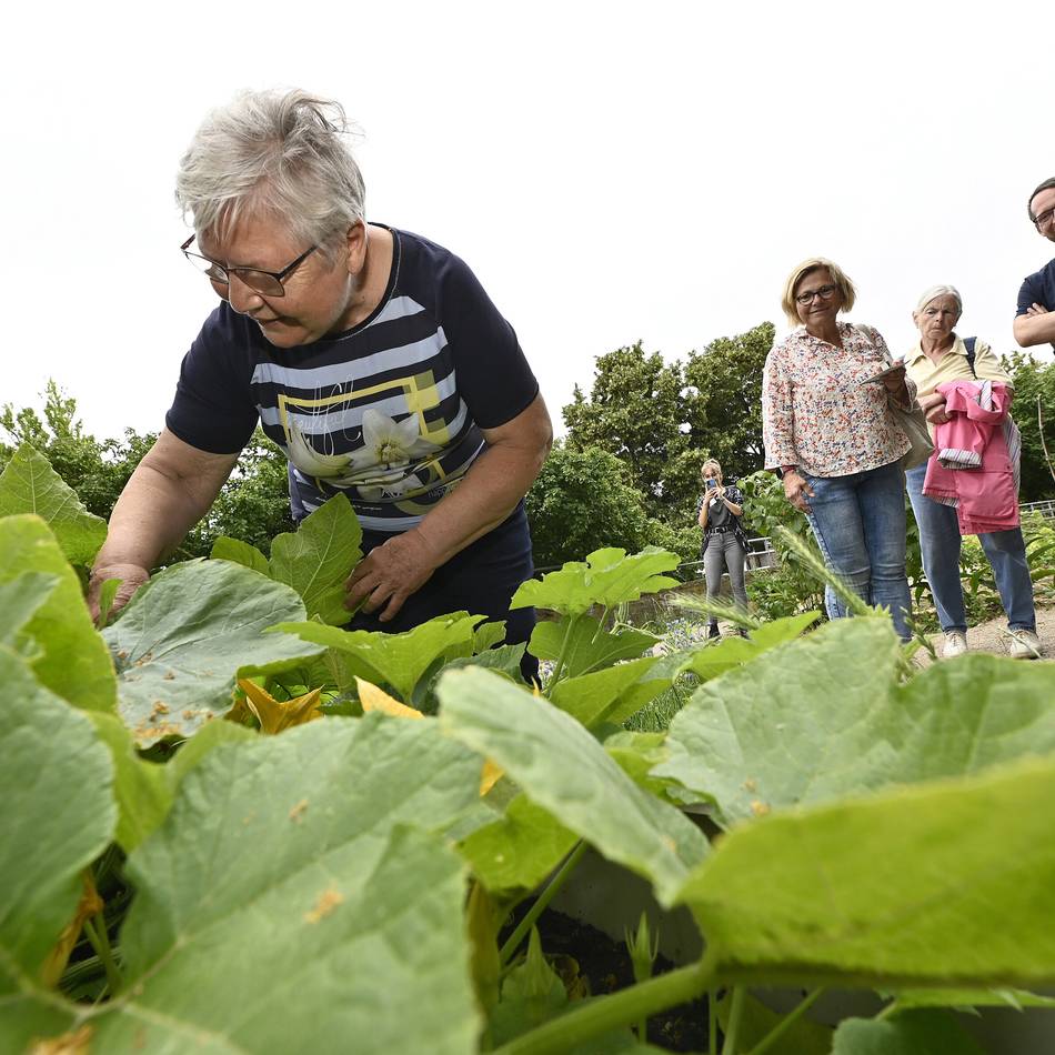 Auszeichnung für Ehrenamtler in Mönchengladbach: Jetzt für den Heimat-Preis bewerben