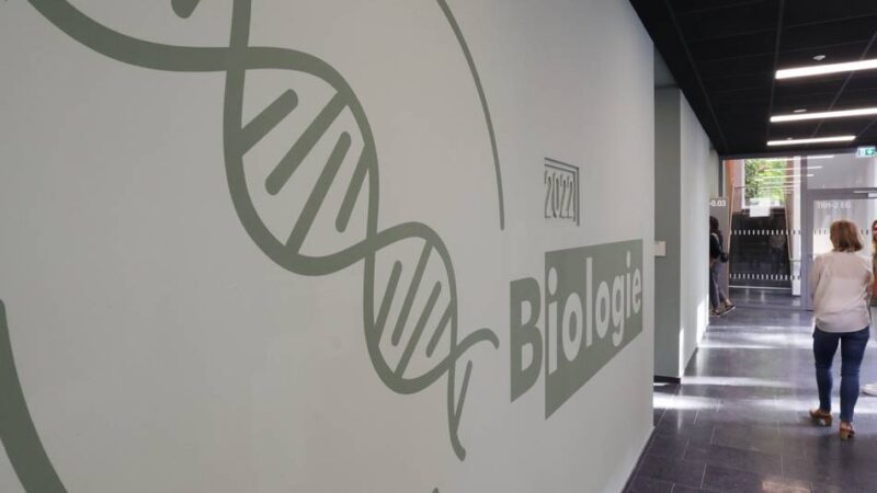 Schule in Düsseldorf: Mehr Anmeldungen beim Lessing-Gymnasium – trotz Drogenhilfezentrum