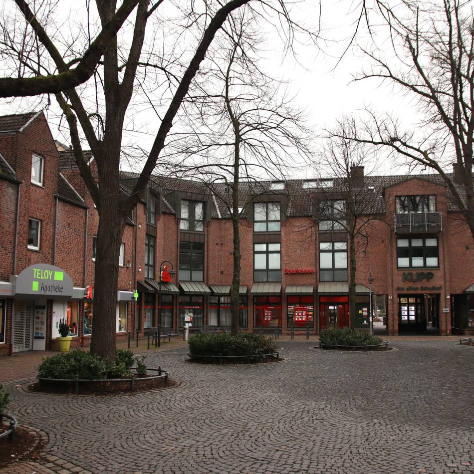 Standort für Schützenbaum in Meerbusch: Linde auf dem Alten Schulhof in Lank soll noch diese Woche fallen