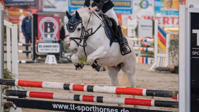 Reitsport im Kreis Kleve: Zweiter Teil des Keppelner Springfestivals sorgt für maximale Spannung
