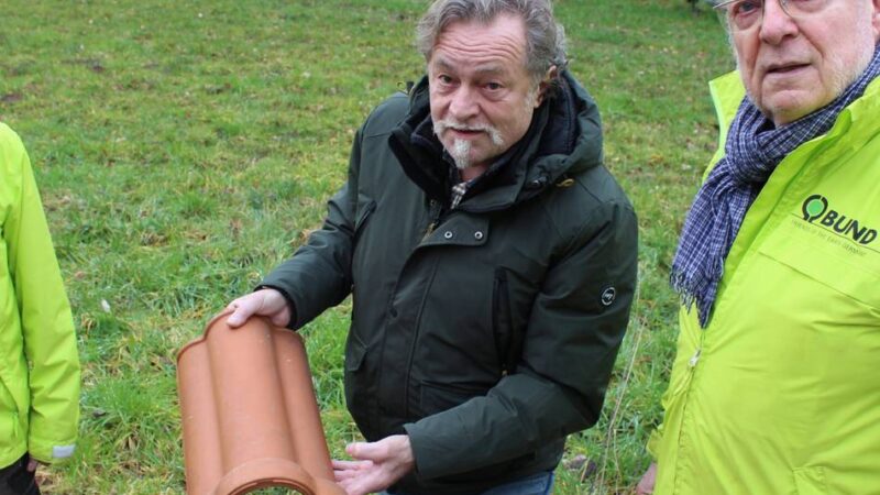 Artenschutz in Korschenbroich: Wie Ehrenamtler Kröten auf ihrer Wanderschaft retten