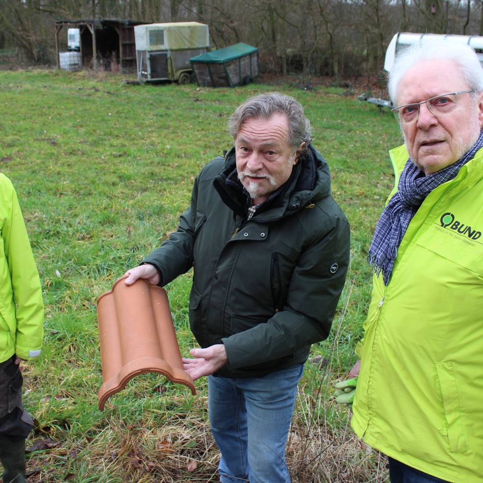 Artenschutz in Korschenbroich: Wie Ehrenamtler Kröten auf ihrer Wanderschaft retten