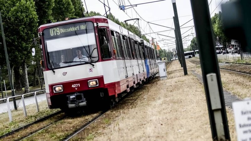 Neue Statistik: Wie zuverlässig ist die Rheinbahn in Düsseldorf?