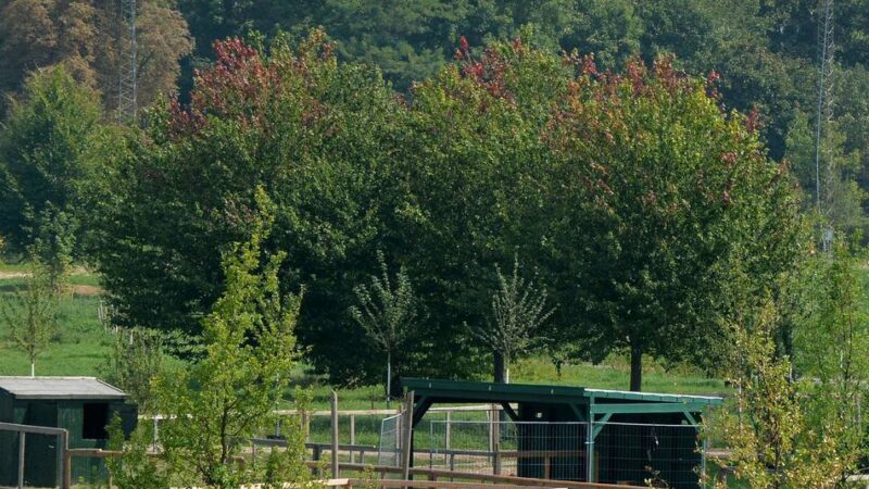 Eingänge für Neusser Schützen und Laga-Besucher: Zaun trennt Festwiese und Landesgartenschau