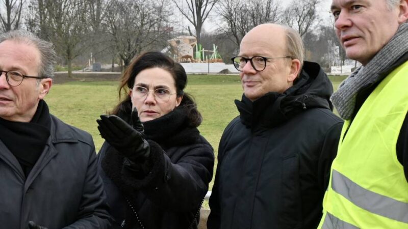 Neusser Baumbericht – dickes Plus durch Laga: „Das hat es in dieser Form noch nicht gegeben“