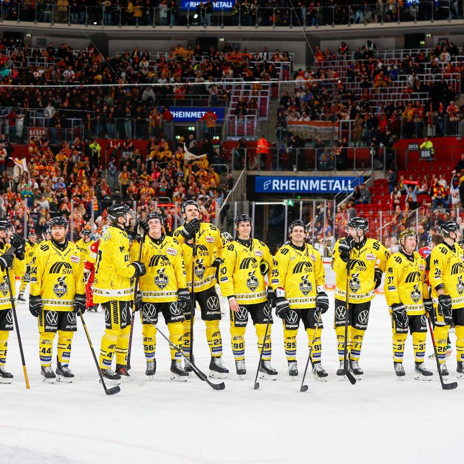 Liga-Endspurt in der DEL2: „Geduldig“ und „erwachsen“ – was die Krefeld Pinguine aus dem Derbysieg lernen können