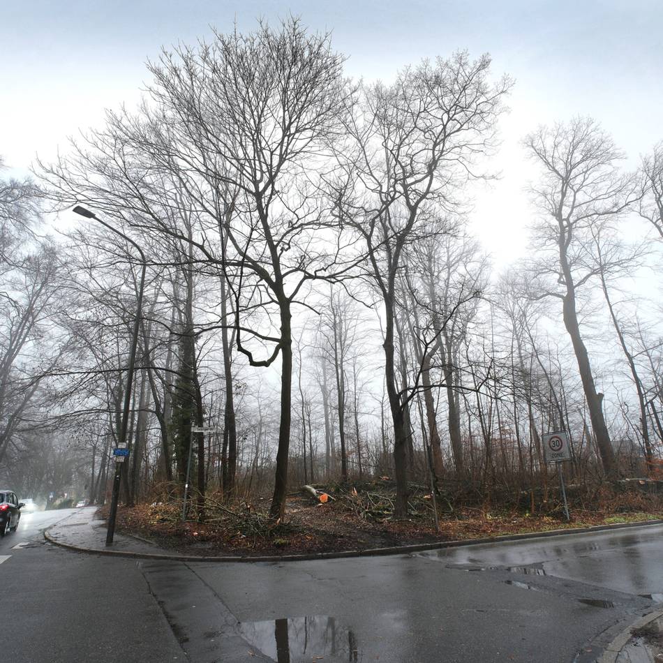 Baumfällungen in Heiligenhaus: Ab Freitag: Umleitung umgeht Rodungen im Werkerwald