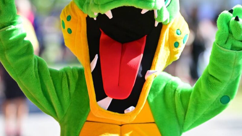 Orgateam stellt sich neu auf: Stabwechsel nach dem 40. Nibelungen-Triathlon