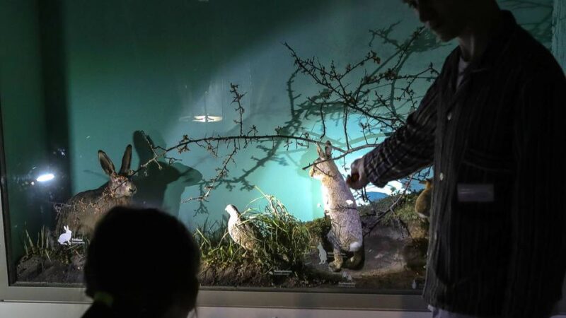 Event-Highlights fürs Wochenende: Kulturfrühstück, Pingpong-Party und Jazz