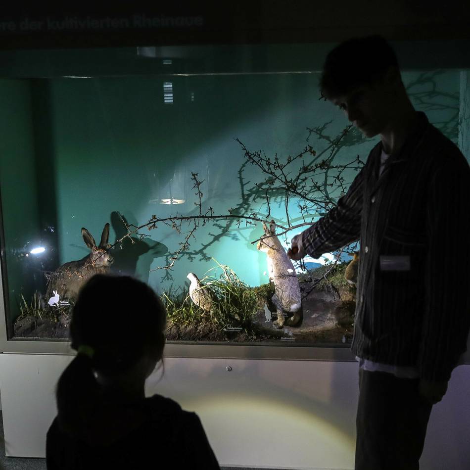 Event-Highlights fürs Wochenende: Kulturfrühstück, Pingpong-Party und Jazz