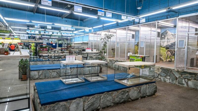 Ehemaliges Zoofachgeschäft in Duisburg: Zoo Zajac soll nach der Insolvenz noch rund sieben Millionen ausgegeben haben