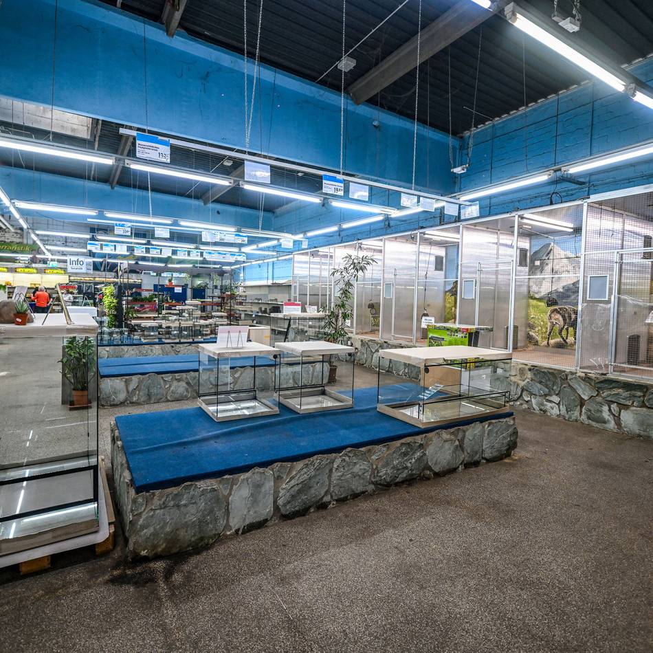 Ehemaliges Zoofachgeschäft in Duisburg: Zoo Zajac soll nach der Insolvenz noch rund sieben Millionen ausgegeben haben