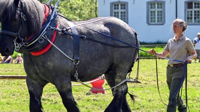 Kreis Viersen spart: Kein Mairitt mehr im Freilichtmuseum in Grefrath