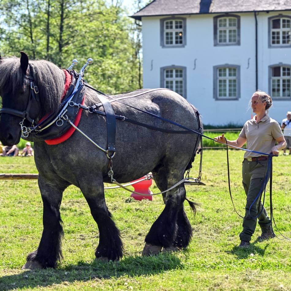 Kreis Viersen spart: Kein Mairitt mehr im Freilichtmuseum in Grefrath