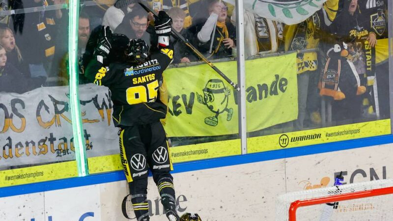 Qualifikation nur noch Formsache: Wie bei den Pinguinen jetzt schon die Play-off-Sinne geschärft werden