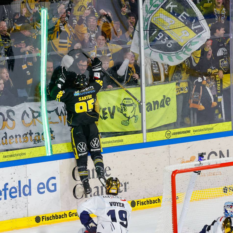 Qualifikation nur noch Formsache: Wie bei den Pinguinen jetzt schon die Play-off-Sinne geschärft werden