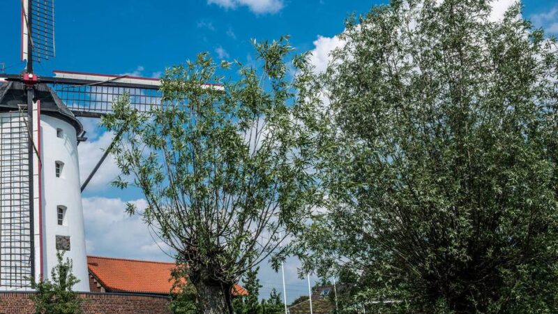 Spaziergänge, Radtouren und Ausflugsziele: Im Frühling den Rhein-Kreis Neuss entdecken