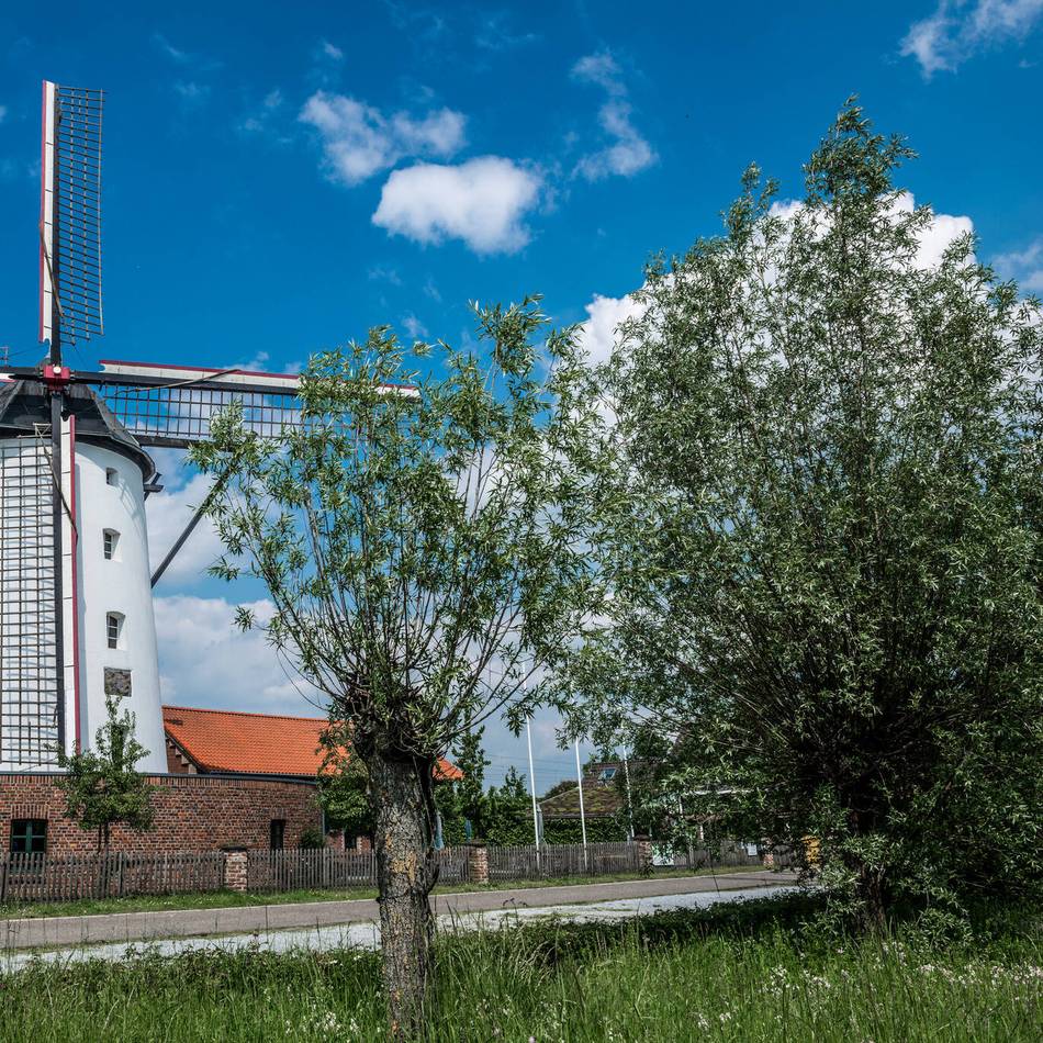 Spaziergänge, Radtouren und Ausflugsziele: Im Frühling den Rhein-Kreis Neuss entdecken