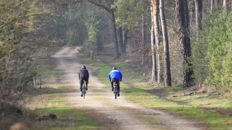 Viersener Umgebung: So geht es dem Wald in der Region