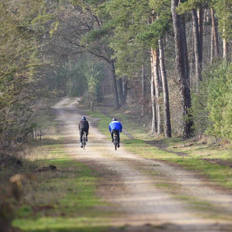 Viersener Umgebung: So geht es dem Wald in der Region