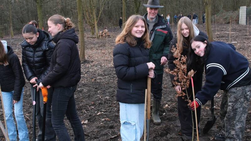 Liebfrauenschüler pflanzen Bäume: Schüler greifen zu Spaten statt Stift