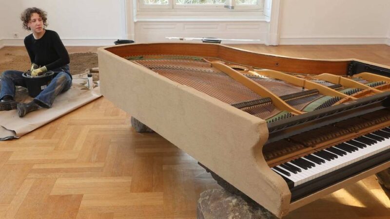 Neue Schau in Schloss Morsbroich Leverkusen:  Grenze zwischen Kunst und Natur – fein aufgeweicht