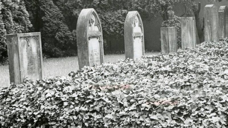 Opladener Geschichte: Pfadfinder und Geschichtsverein machen Jüdischen Friedhof zugänglich