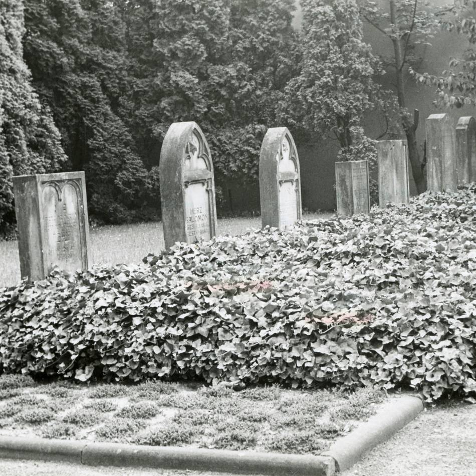 Opladener Geschichte: Pfadfinder und Geschichtsverein machen Jüdischen Friedhof zugänglich